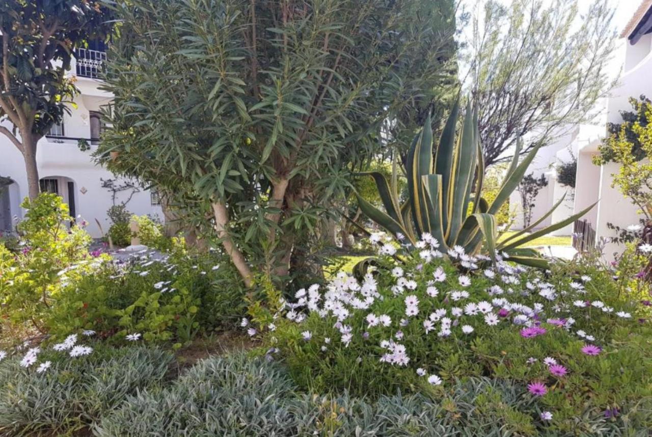 Apartment Sao Rafael Holidays Albufeira Extérieur photo
